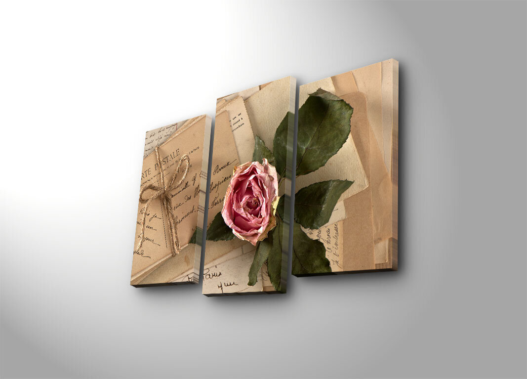 Trijų dalių reprodukcija Rožė ir laiškai kaina ir informacija | Reprodukcijos, paveikslai | pigu.lt