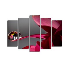 Penkių dalių reprodukcija Lašelis ant gėlės žiedo kaina ir informacija | Reprodukcijos, paveikslai | pigu.lt