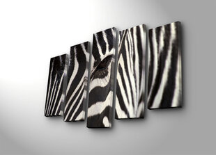 Penkių dalių reprodukcija Zebras kaina ir informacija | Reprodukcijos, paveikslai | pigu.lt