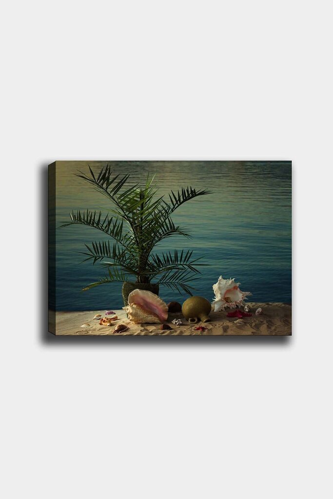 Reprodukcija Palmė ir kriauklės paplūdimyje kaina ir informacija | Reprodukcijos, paveikslai | pigu.lt