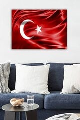 Reprodukcija Turkijos vėliava kaina ir informacija | Reprodukcijos, paveikslai | pigu.lt