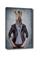 Reprodukcija Zebras su rūbais kaina ir informacija | Reprodukcijos, paveikslai | pigu.lt