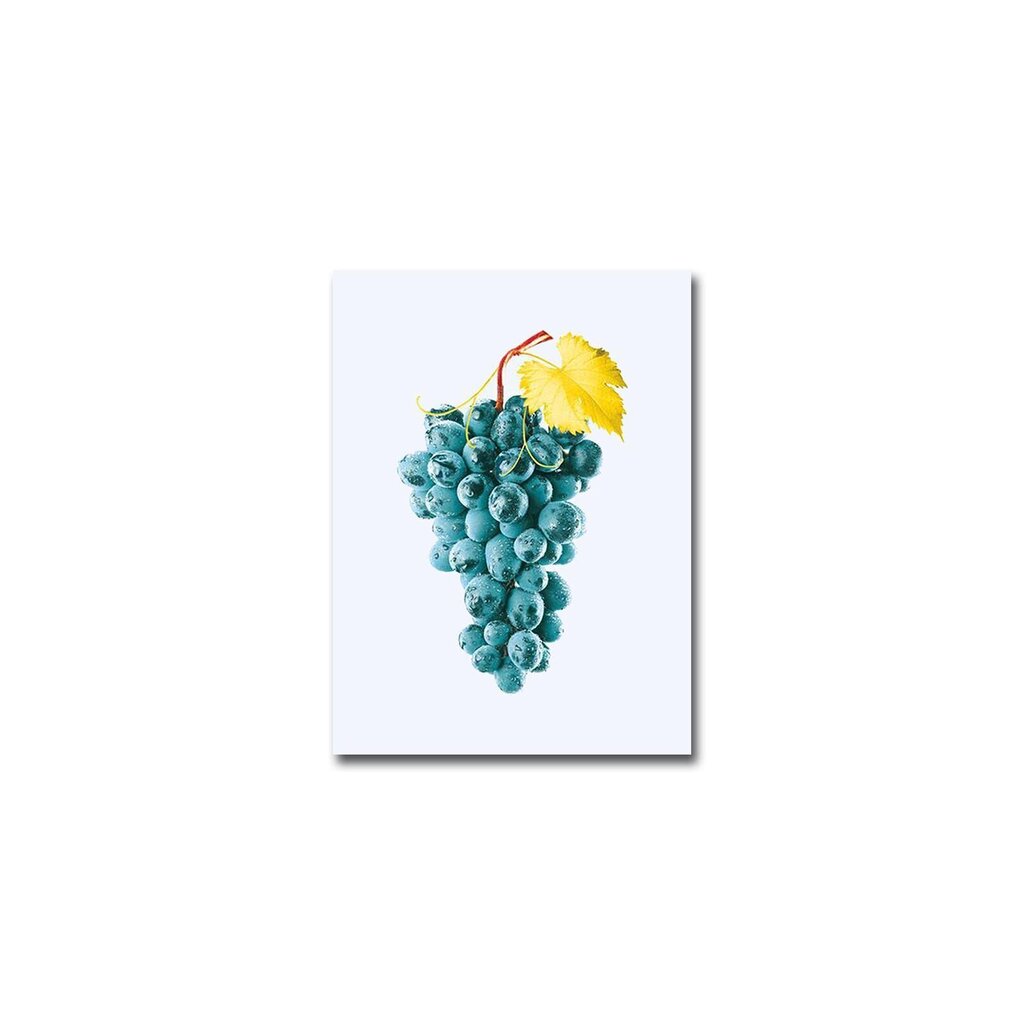 Reprodukcija Vynuogės kaina ir informacija | Reprodukcijos, paveikslai | pigu.lt