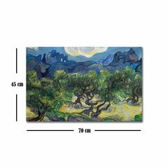 Reprodukcija Starry Night (Vincent Van Gogh) kaina ir informacija | Reprodukcijos, paveikslai | pigu.lt