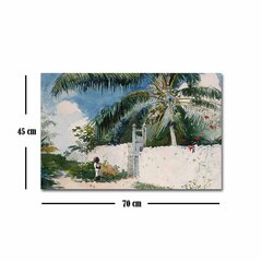 Репродукция A Garden in Nassau (Winslow Homer) цена и информация | Репродукции, картины | pigu.lt