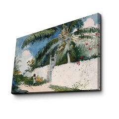 Reprodukcija A Garden in Nassau (Winslow Homer) kaina ir informacija | Reprodukcijos, paveikslai | pigu.lt
