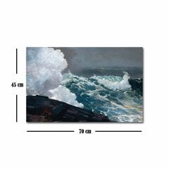 Reprodukcija Northeaster (Winslow Homer) kaina ir informacija | Reprodukcijos, paveikslai | pigu.lt