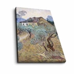 Репродукция White Farmhouse Between Olive Trees (Vincent Van Gogh) цена и информация | Репродукции, картины | pigu.lt
