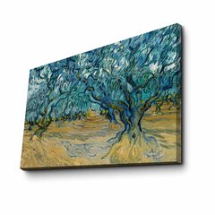 Reprodukcija Olive Trees (Vincent Van Gogh) kaina ir informacija | Reprodukcijos, paveikslai | pigu.lt