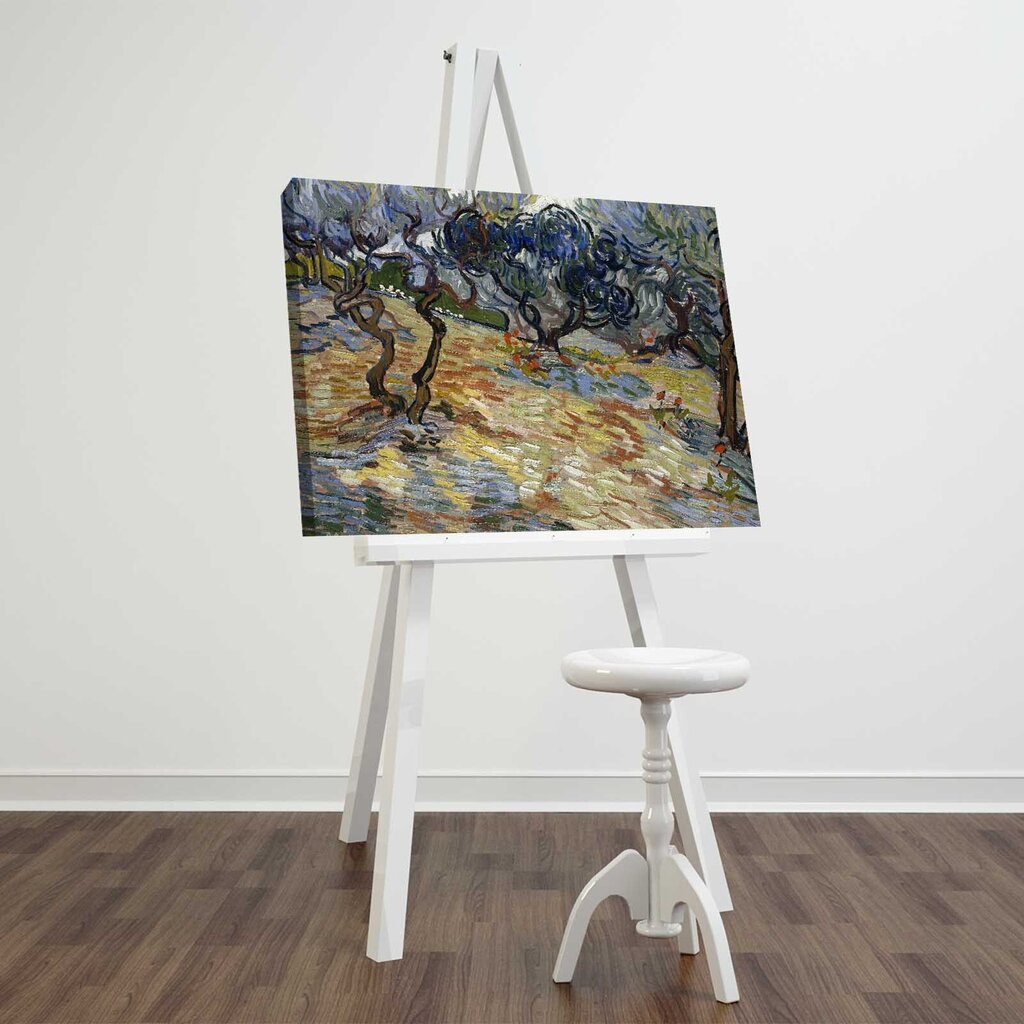 Reprodukcija The Olive Groves (Vincent Van Gogh) kaina ir informacija | Reprodukcijos, paveikslai | pigu.lt