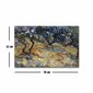 Reprodukcija The Olive Groves (Vincent Van Gogh) kaina ir informacija | Reprodukcijos, paveikslai | pigu.lt