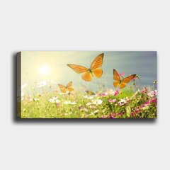 Репродукция Бабочки среди цветов цена и информация | Репродукции, картины | pigu.lt