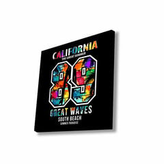 Репродукция Калифорния 89 цена и информация | Репродукции, картины | pigu.lt