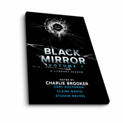 Репродукция Black Mirror цена и информация | Репродукции, картины | pigu.lt