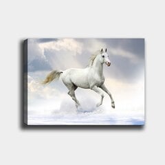 Reprodukcija Baltas žirgas kaina ir informacija | Reprodukcijos, paveikslai | pigu.lt