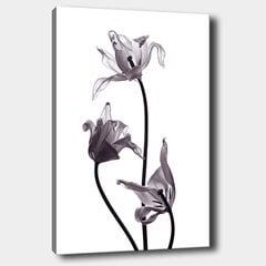 Reprodukcija ant drobės Tulpės kaina ir informacija | Reprodukcijos, paveikslai | pigu.lt