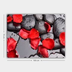 Репродукция Красные лепестки на камнях цена и информация | Репродукции, картины | pigu.lt