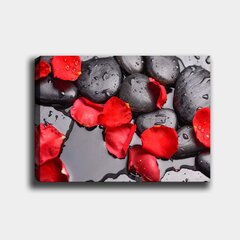 Репродукция Красные лепестки на камнях цена и информация | Репродукции, картины | pigu.lt