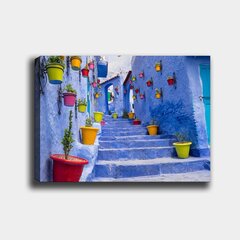 Репродукция Цветные горшки на синей улице цена и информация | Репродукции, картины | pigu.lt