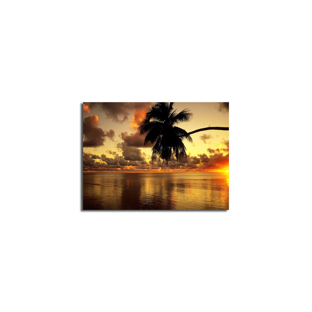 Reprodukcija Palmė, jūra, saulėlydis цена и информация | Reprodukcijos, paveikslai | pigu.lt