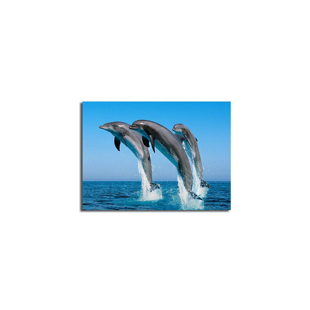 Reprodukcija Delfinai цена и информация | Reprodukcijos, paveikslai | pigu.lt