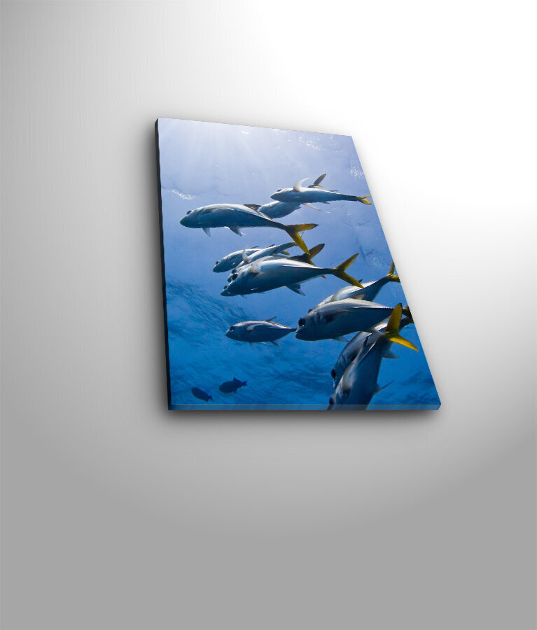 Reprodukcija Delfinai po vandeniu kaina ir informacija | Reprodukcijos, paveikslai | pigu.lt