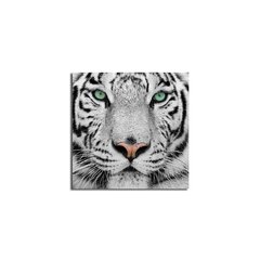 Reprodukcija Baltasis tigras kaina ir informacija | Reprodukcijos, paveikslai | pigu.lt