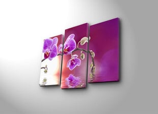Trijų dalių reprodukcija Purpurinė orchidėja kaina ir informacija | Reprodukcijos, paveikslai | pigu.lt