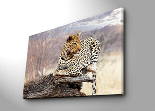Reprodukcija ant drobės Leopardas kaina ir informacija | Reprodukcijos, paveikslai | pigu.lt