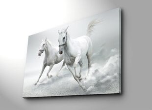 Репродукция на холсте Лошади цена и информация | Репродукции, картины | pigu.lt