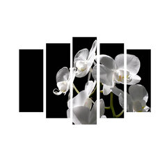 Penkių dalių reprodukcija Orchidėjos kaina ir informacija | Reprodukcijos, paveikslai | pigu.lt