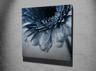 Reprodukcija Gėlės žiedas rasotais lapeliais (black and white) kaina ir informacija | Reprodukcijos, paveikslai | pigu.lt