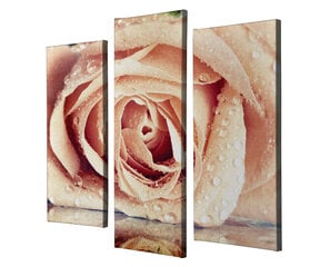 Репродукция из пяти частей Роза цена и информация | Репродукции, картины | pigu.lt
