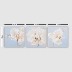 Картина White flowers цена и информация | Репродукции, картины | pigu.lt