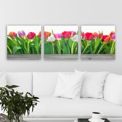 Trijų dalių reprodukcija Tulpės kaina ir informacija | Reprodukcijos, paveikslai | pigu.lt