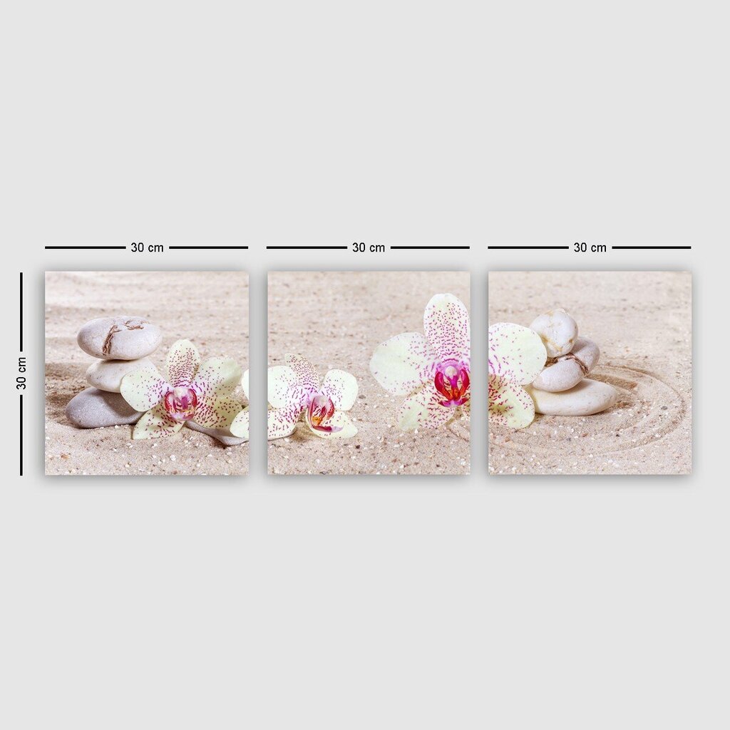Trijų dalių reprodukcija Orchidėjos ant smėlio kaina ir informacija | Reprodukcijos, paveikslai | pigu.lt