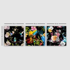 Trijų dalių reprodukcija Kolibriai ir papūgos tarp gėlių kaina ir informacija | Reprodukcijos, paveikslai | pigu.lt