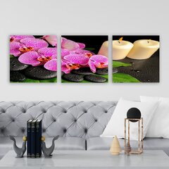 Trijų dalių reprodukcija Orchidėjos ir žvakės kaina ir informacija | Reprodukcijos, paveikslai | pigu.lt