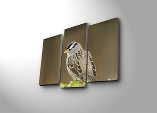 Trijų dalių reprodukcija Tupintis paukštis kaina ir informacija | Reprodukcijos, paveikslai | pigu.lt