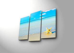 Trijų dalių reprodukcija Jūrų žvaigždė paplūdimyje kaina ir informacija | Reprodukcijos, paveikslai | pigu.lt