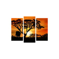 Trijų dalių reprodukcija Afrikos peizažas kaina ir informacija | Reprodukcijos, paveikslai | pigu.lt