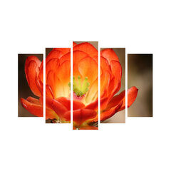 Penkių dalių reprodukcija Gėlės žiedas kaina ir informacija | Reprodukcijos, paveikslai | pigu.lt