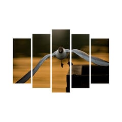 Penkių dalių reprodukcija Paukštis kaina ir informacija | Reprodukcijos, paveikslai | pigu.lt