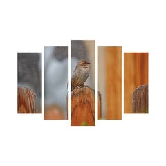 Penkių dalių reprodukcija Paukštis ant tvoros kaina ir informacija | Reprodukcijos, paveikslai | pigu.lt