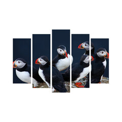 Репродукция из пяти частей Птицы цена и информация | Репродукции, картины | pigu.lt