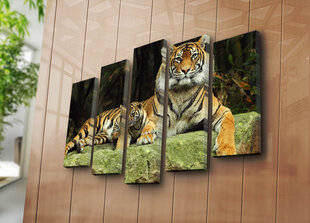 Penkių dalių reprodukcija Tigras kaina ir informacija | Reprodukcijos, paveikslai | pigu.lt