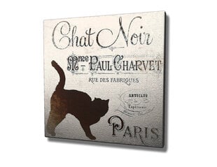 Reprodukcija Chat Noir Paris kaina ir informacija | Reprodukcijos, paveikslai | pigu.lt