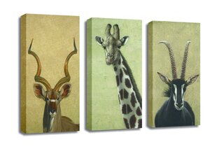Репродукция из трех частей Африканские животные цена и информация | Репродукции, картины | pigu.lt