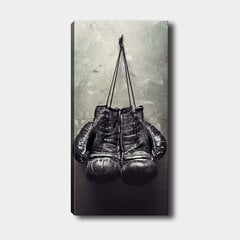 Репродукция Боксерские перчатки цена и информация | Репродукции, картины | pigu.lt