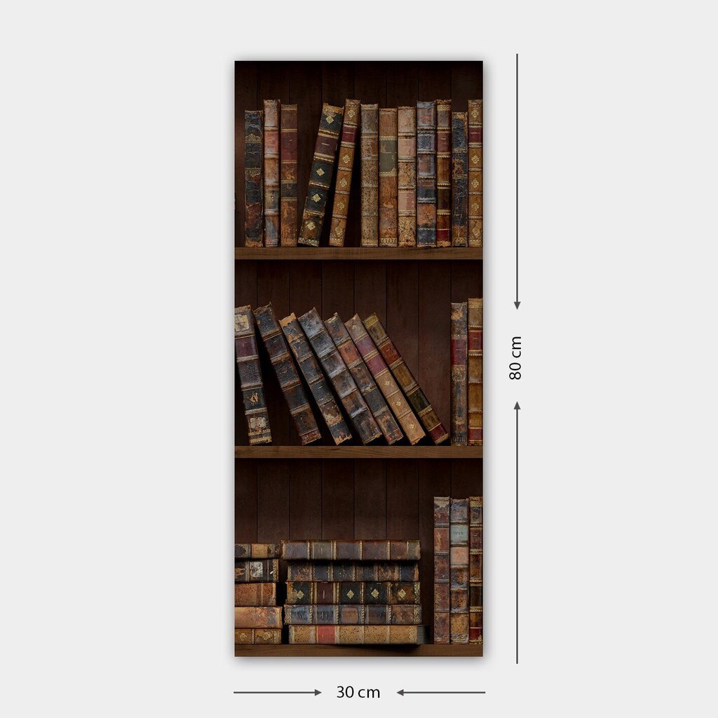 Reprodukcija Knygų lentynos kaina ir informacija | Reprodukcijos, paveikslai | pigu.lt